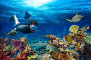 young men snorkling exploring underwater coral reef landscape background in the deep blue ocean with colorful fish and marine life